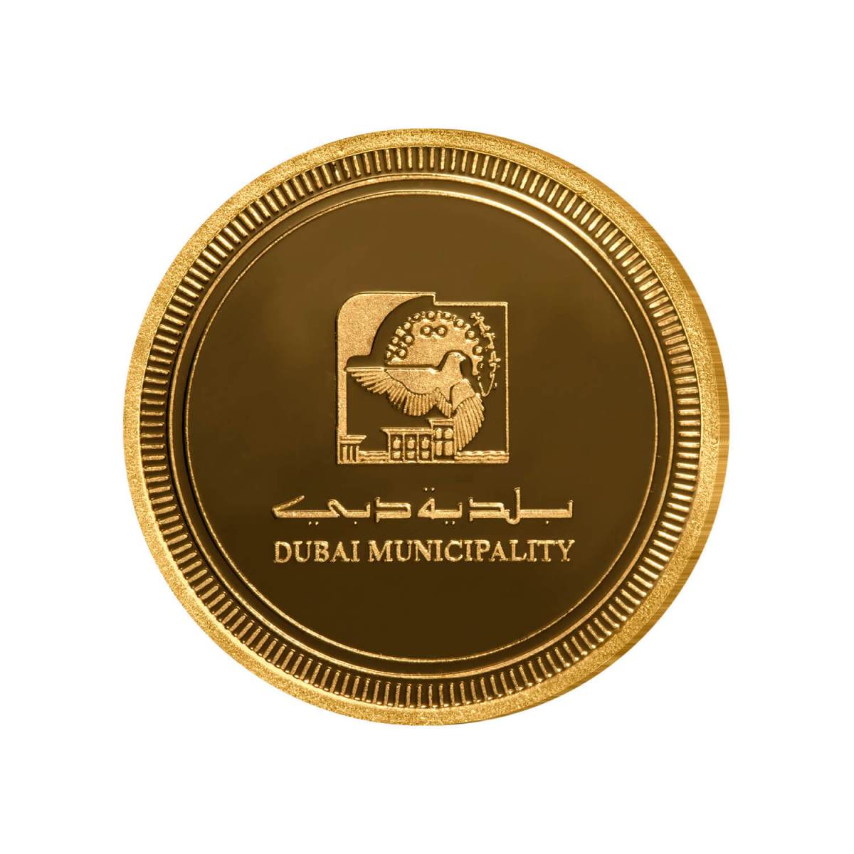 https://orientalgandg.online/wp-content/uploads/2015/09/Dubai-Muncipality-127A7913.jpg